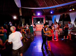 disco cats catalonia gran dominicus