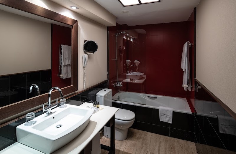 habitacion doble catalonia goya 06